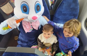 Mandalina Ježići